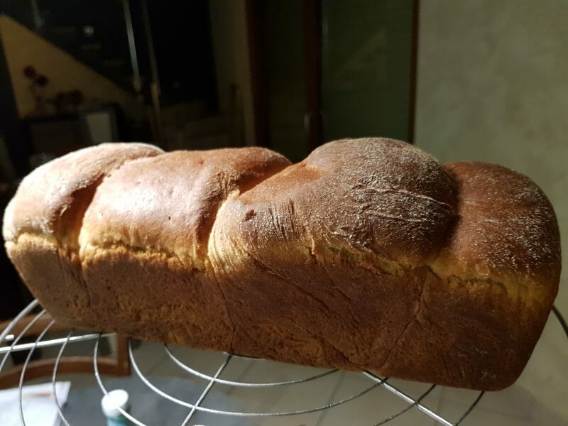 Cliquez pour zoomer ! Brioche sans beurre, sans oeufs Thermomix par Fabie64