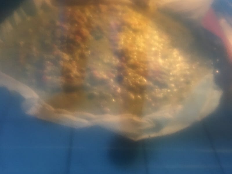 Cliquez pour zoomer ! Tarte courgettes et carottes Thermomix par delphine2762