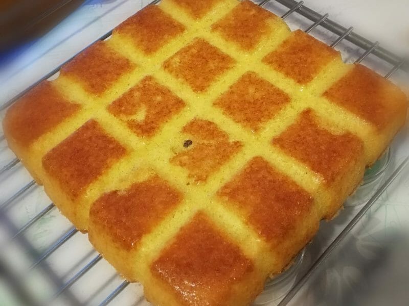 Gateau Ti Son Au Thermomix Cookomix Gateau Ti Son Au Thermomix Cookomix