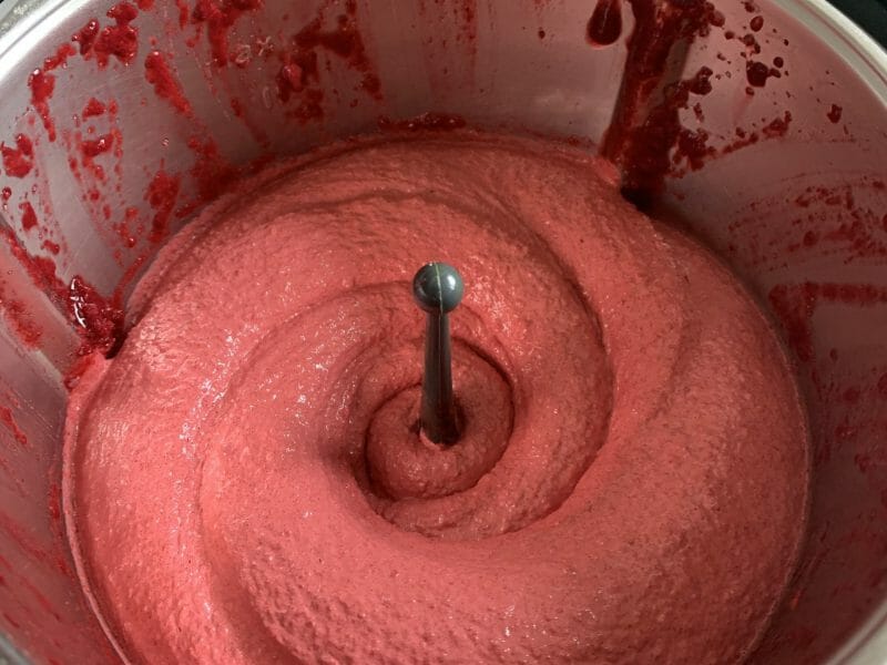 Cliquez pour zoomer ! Sorbet aux mûres Thermomix par tatatune