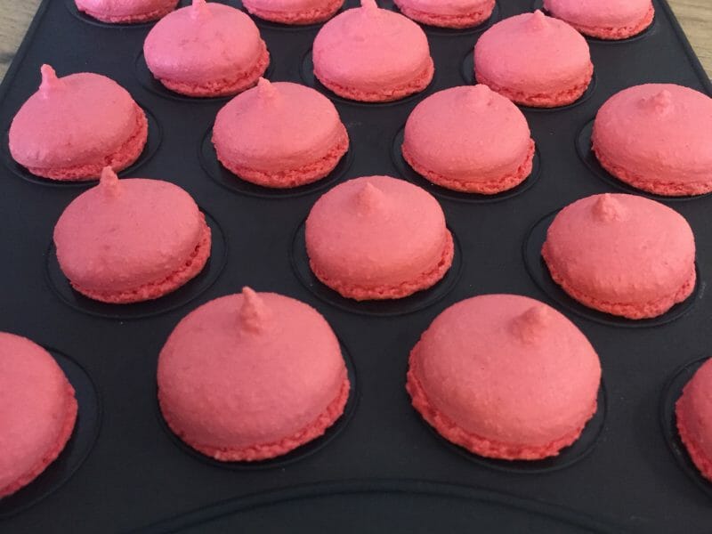 Cliquez pour zoomer ! Macarons Thermomix par tatatune