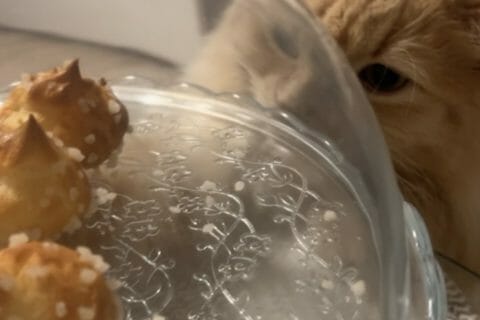 Cliquez pour zoomer ! Photo de julie_117