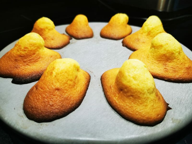 Cliquez pour zoomer ! Madeleines Thermomix par mariethaisleo