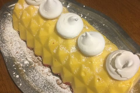 Cliquez pour zoomer ! Bûche glacée mangue et framboise Thermomix par cricri6342