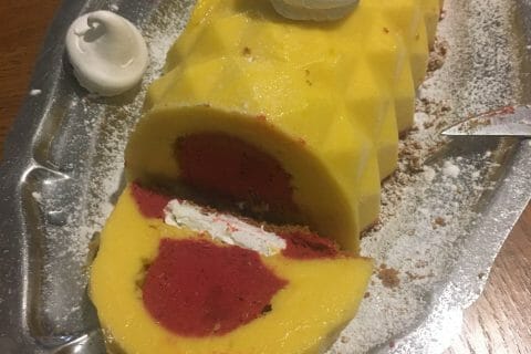 Cliquez pour zoomer ! Bûche glacée mangue et framboise Thermomix par cricri6342