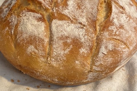 Cliquez pour zoomer ! Pain Cocotte Thermomix par Lolomika