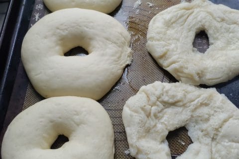 Cliquez pour zoomer ! Photo de micocoule