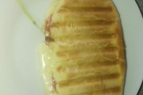 Cliquez pour zoomer ! Panini Thermomix par Azizalinakais