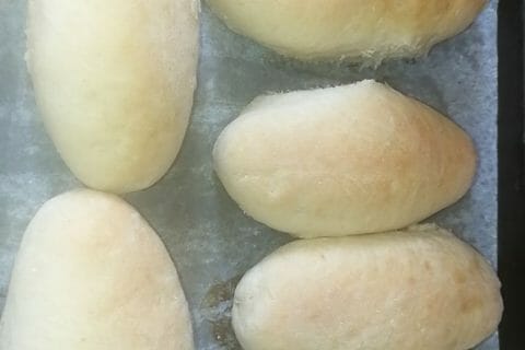 Cliquez pour zoomer ! Panini Thermomix par Azizalinakais
