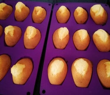 Cliquez pour zoomer ! Madeleines Thermomix par cou04