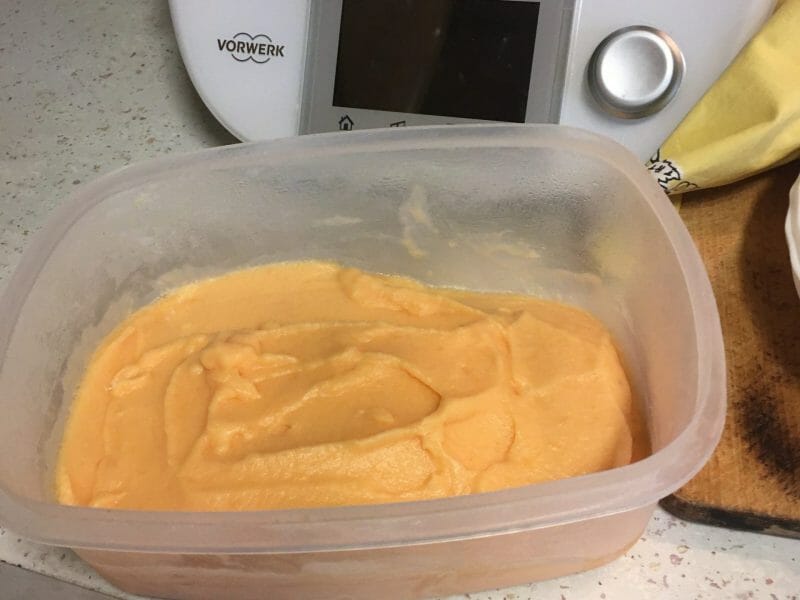 Cliquez pour zoomer ! Sorbet melon Thermomix par mado49