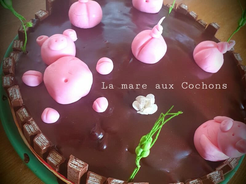 Cliquez pour zoomer ! La mare aux cochons Thermomix par Rosadys