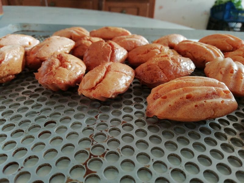 Cliquez pour zoomer ! Madeleines au chorizo Thermomix par chouquetteforever