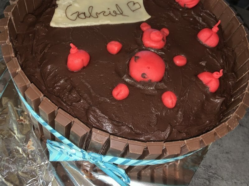 Cliquez pour zoomer ! La mare aux cochons Thermomix par stylikement