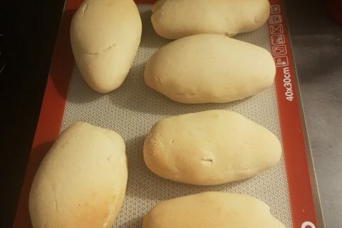 Cliquez pour zoomer ! Panini Thermomix par lucia