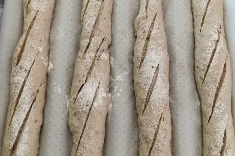 Cliquez pour zoomer ! Baguettes Thermomix par violette49