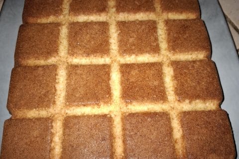 Cliquez pour zoomer ! Gâteau neige Thermomix par acm42