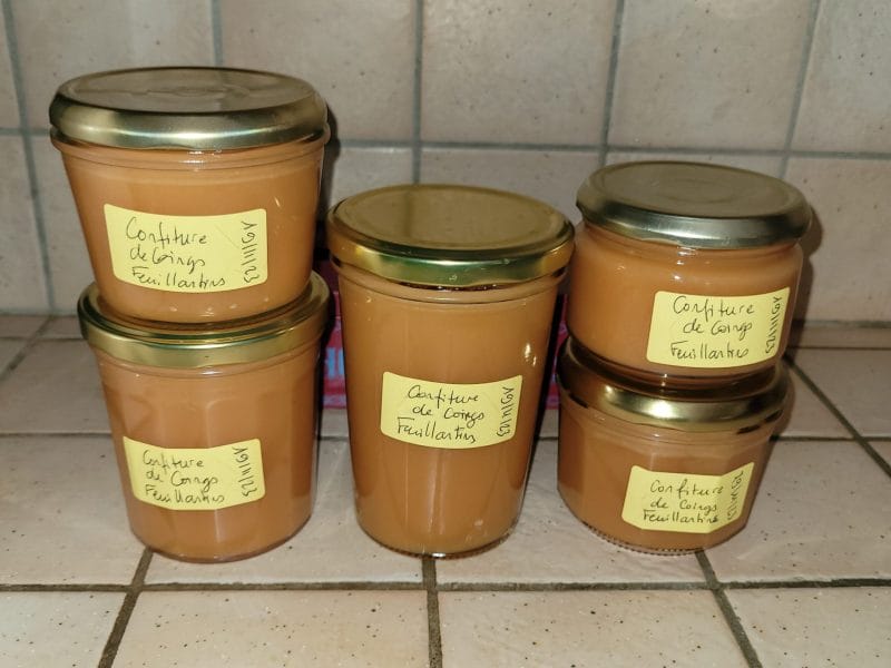 Cliquez pour zoomer ! Confiture de coings Thermomix par acm42