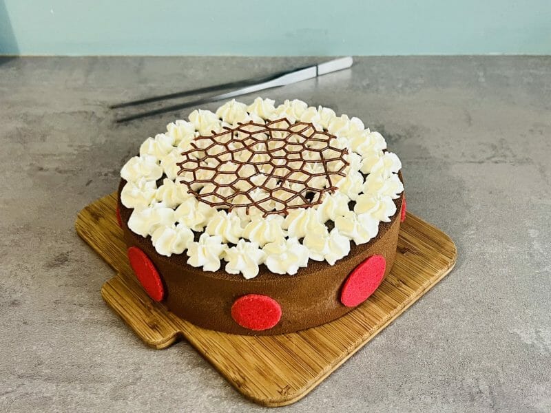 Cliquez pour zoomer ! Tuiles aux amandes Thermomix par clin87