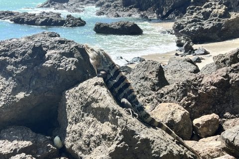 Cliquez pour zoomer ! Photo de clin87