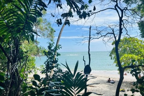 Cliquez pour zoomer ! Photo de clin87