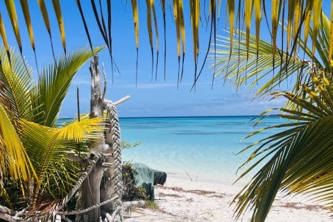 Cliquez pour zoomer ! Photo de clin87 Thermomix par clin87