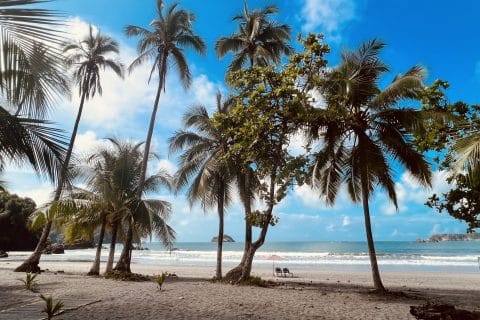 Cliquez pour zoomer ! Photo de clin87