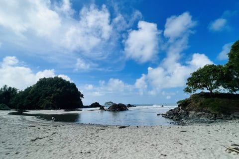 Cliquez pour zoomer ! Photo de clin87