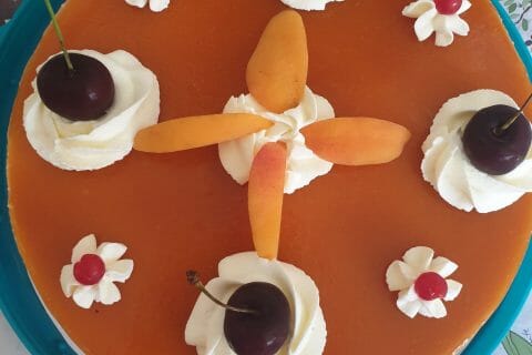 Cliquez pour zoomer ! Bavarois à l’abricot Thermomix par joelle_desmet22@gmail_com
