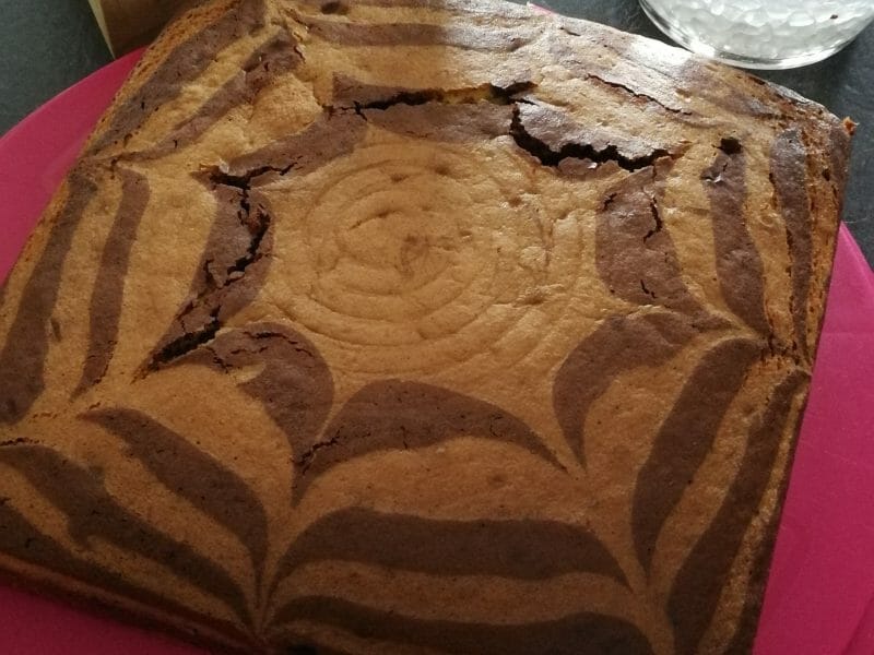 Cliquez pour zoomer ! Gâteau zébré Thermomix par beab9