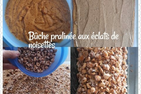 Cliquez pour zoomer ! Bûche pralinée aux éclats de noisettes caramélisés Thermomix par katia Dtd