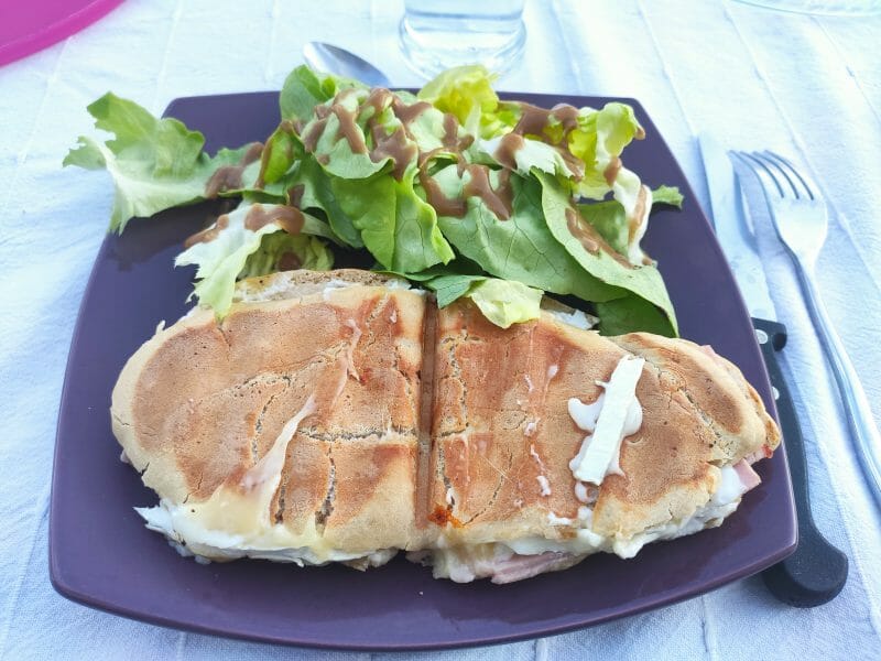 Cliquez pour zoomer ! Panini Thermomix par gael41