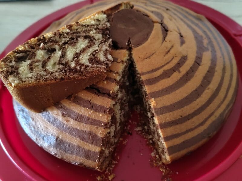 Cliquez pour zoomer ! Gâteau zébré Thermomix par riamel