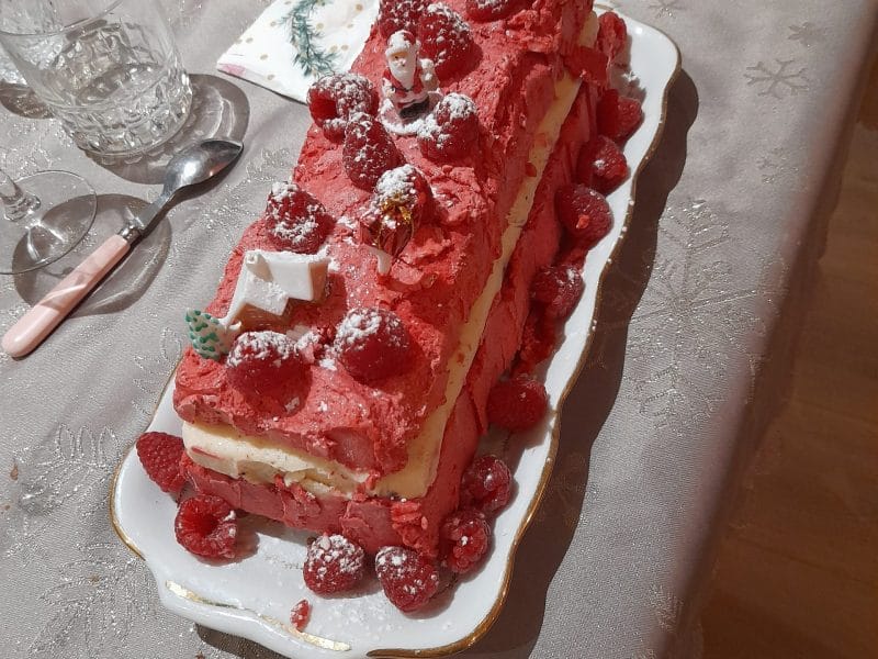 Cliquez pour zoomer ! Bûche glacée mangue et framboise Thermomix par maelle_5