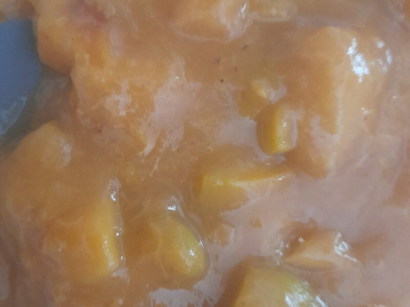 Compote de pêches au Thermomix - Cookomix
