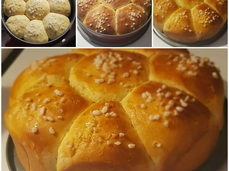 Cliquez pour zoomer ! Brioche Buchty Thermomix par ausaca