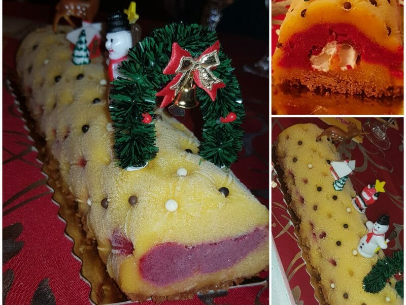 Cliquez pour zoomer ! Bûche glacée mangue et framboise Thermomix par ausaca