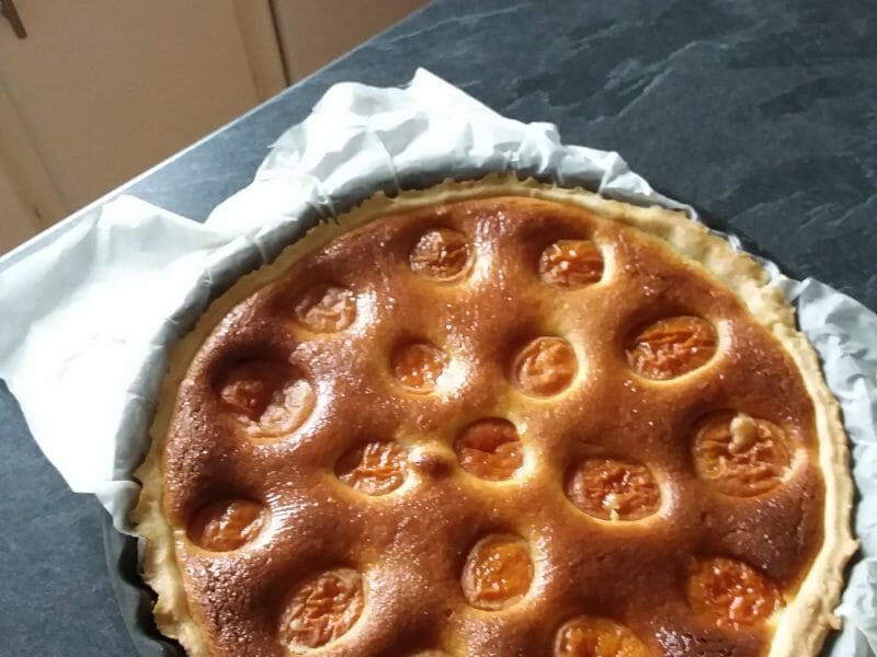 Cliquez pour zoomer ! Tarte amandine aux abricots Thermomix par cathou56