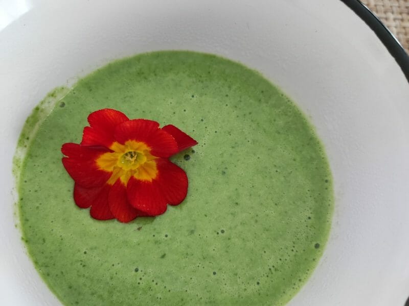 Cliquez pour zoomer ! Velouté aux fanes de radis Thermomix par Fyne