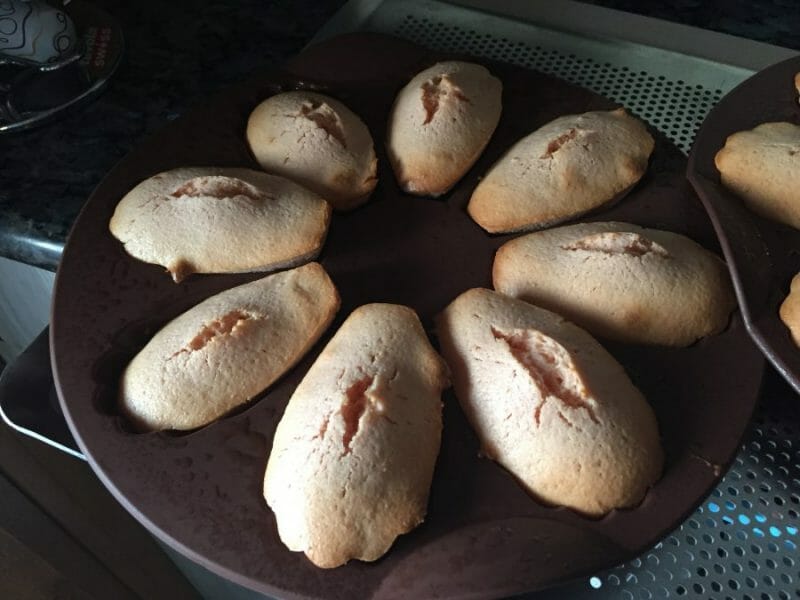 Cliquez pour zoomer ! Madeleines aux biscuits roses de Reims Thermomix par bigornotte73