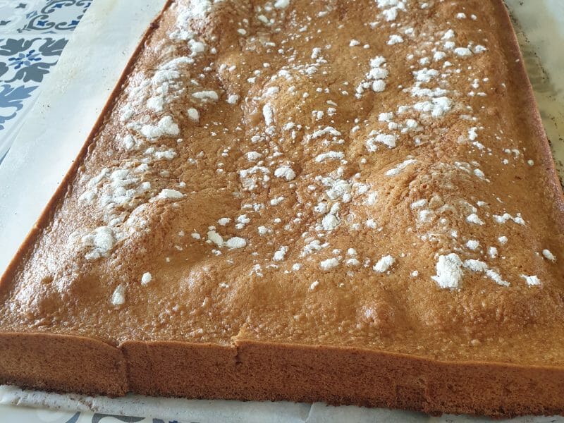 Cliquez pour zoomer ! Coca de llanda Thermomix par doudou60210