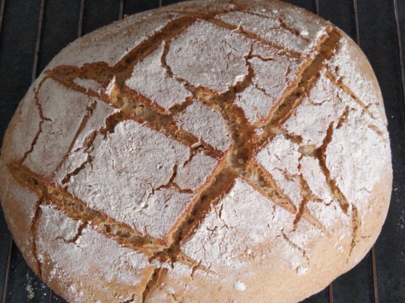 Cliquez pour zoomer ! Pain d’épeautre en cocotte Thermomix par fredgp