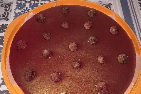 Cliquez pour zoomer ! Bavarois aux framboises au Thermomix