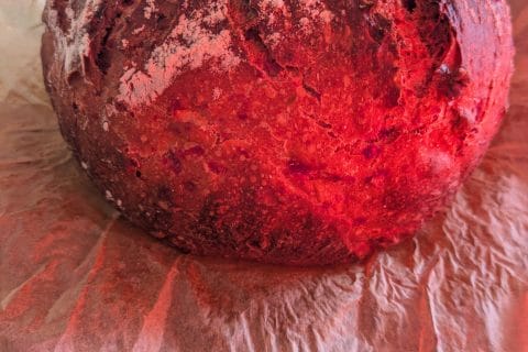 Cliquez pour zoomer ! Photo de christine_46