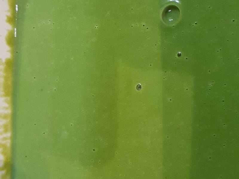 Cliquez pour zoomer ! Velouté d’épinards Thermomix par suzepaul