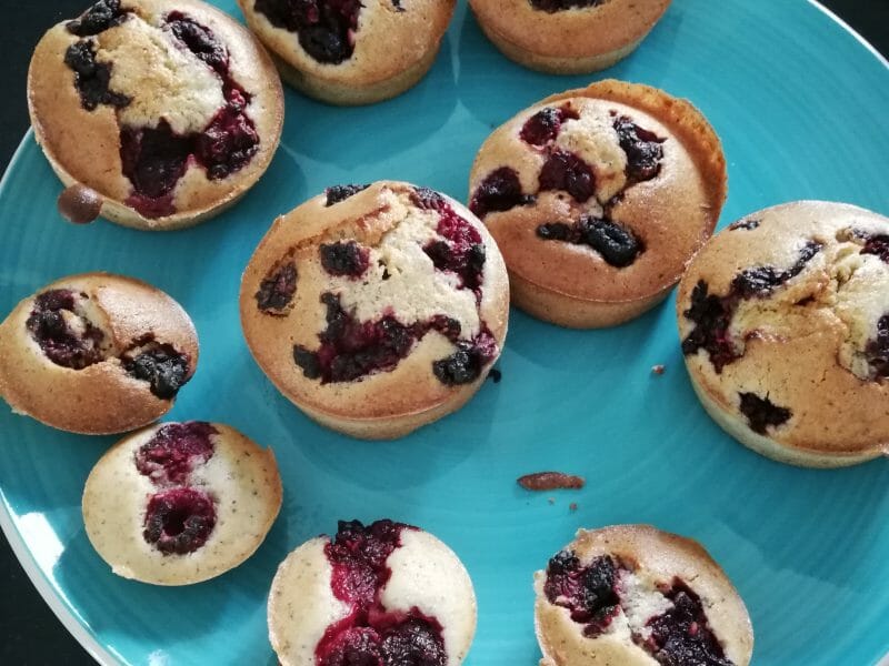 Cliquez pour zoomer ! Visitandines aux framboises Thermomix par betty83340