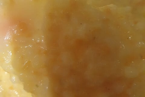 Cliquez pour zoomer ! Risotto aux carottes et parmesan Thermomix par kadrouchkaa