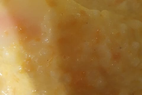 Cliquez pour zoomer ! Risotto aux carottes et parmesan Thermomix par kadrouchkaa