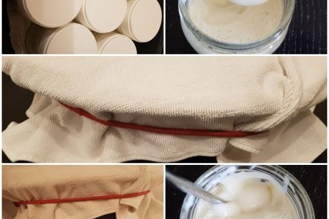 Cliquez pour zoomer ! Yaourt au Varoma Thermomix par chatomlou