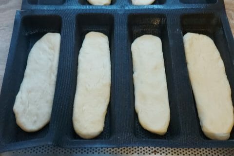 Cliquez pour zoomer ! Panini Thermomix par FETAHSALAKIS